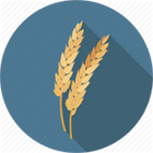 polyter-fertilizer.png image polyter-fertilizer.png POLYTER ® - Hydro-retentive, Fertilizer