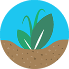 polyter-regeneration-soil.png image polyter-regeneration-soil.png POLYTER ® - Hydro-retentive, Fertilizer