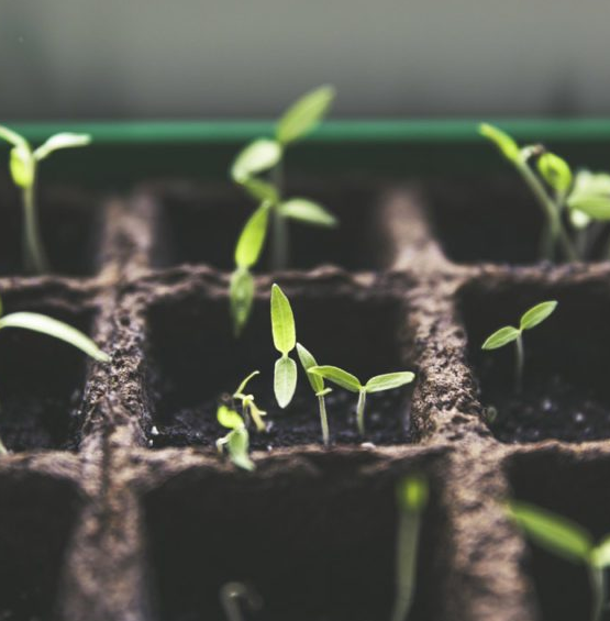 2019-04-10-polyter-agri image 2019-04-10-polyter-agri البوليتر - Polyter AGRI