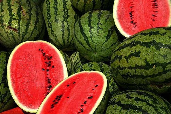 watermelon-polyter image watermelon-polyter البوليتر - سوق البستنة