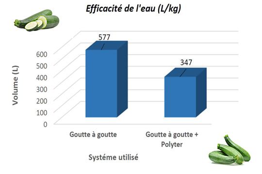 culture-de-courgette1 image culture-de-courgette1 POLYTER ® - Maraîchages