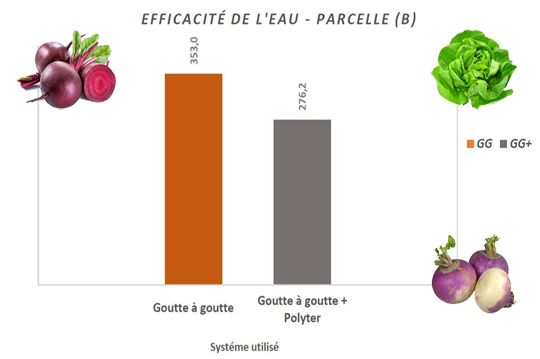 efficacit-de-leau-au-niveau-de-la-parcelle-b image efficacit-de-leau-au-niveau-de-la-parcelle-b POLYTER ® - Maraîchages